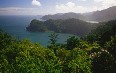 Tobago, nature صور