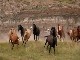 Alberta by Horseback