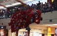 Barongsai in Jakarta Images