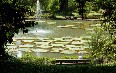 Bogor Botanical Gardens صور