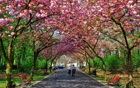 Brussels is a very green city with about 15 parks. The most famous of them are: the Brussels Park, the Mont des Arts and the Cinquantenaire Park.