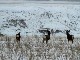 Winter in North Dakota