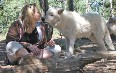 Colorado Wolf and Wildlife Center صور