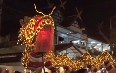 Dragon Dance in Chiang Mai  图片