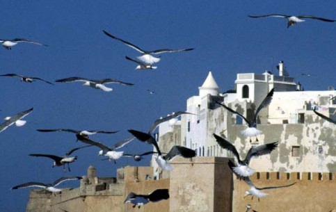 Essaouira -famous resort; world's surf  centre; unique ancient medina quarter; well-preserved 