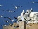 Essaouira