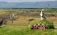 Faroes Islands, Culture 写真