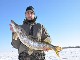 Рыбалка в Северной Дакоте