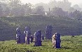 Avebury 写真