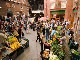 Halifax Farmer's Market