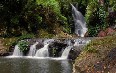 Gold Coast Forest Walks 写真