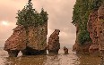 Hopewell Rocks 写真