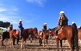 Horseback Vineyard Tours صور