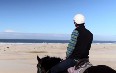 Horseriding in Port Stephens صور