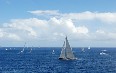 Horta Sailing Images