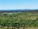 Hunter Valley (أستراليا)