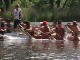  International Dragon Boat Race in Toronto