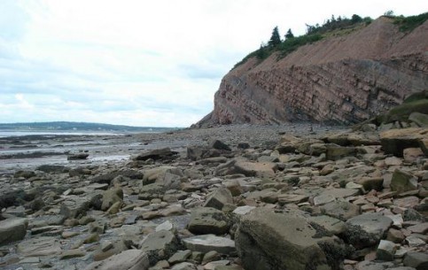 Скалы с окаменелостями в Джоггинсе – уникальнейший палеонтологический объект на побережье залива Фанди, внесенный в список Всемирного наследия ЮНЕСКО