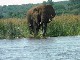 Сафари на реке Элефантес (Южная Африка)