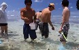 Lady Elliot Island Activities 图片