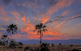 Lake Manyara National Park 图片