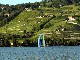 Виноградники Лаво в Швейцарии