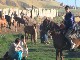 Livestock market in Kazakhstan