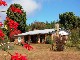 Luwawa Forest Lodge (ملاوي)