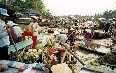 Mekong Delta Images