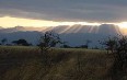 Meru National Park Images