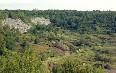 Messel pit Images