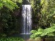 Millaa Millaa Falls (オーストラリア)