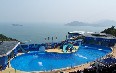 Гонконгский океанариум Фото
