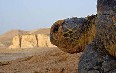 Sea Turtles of Ras al Hadd صور