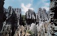 Shilin Stone Forest Images