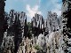 Shilin Stone Forest (الصين_(منطقة))