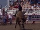 Small Town Rodeo