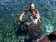 Плавание с черепахами в Савайи