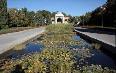 Tajikistan Botanical Garden Images