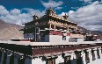 チベット 写真