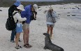 Travel to Galapagos Islands 图片