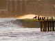 Wedge beach of Durban