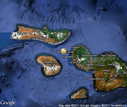 地图: Maui Whale Watching
